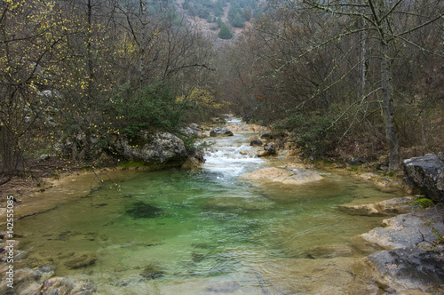 Spring mountain stream