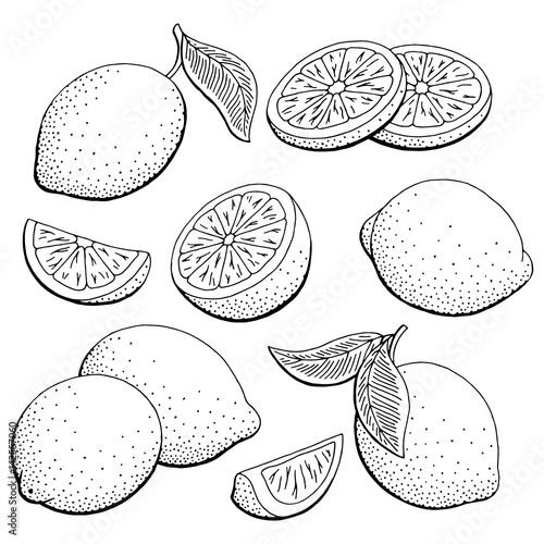 Lemon fruit graphic black white isolated sketch illustration vector