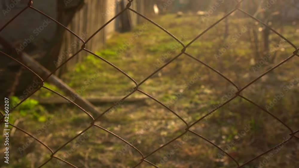 Part of the fence from the mesh of the rabbit at sunset Part of the fence from the mesh of the rabbit at sunset