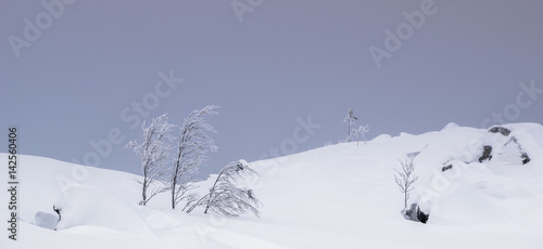 Winter landscape in Russian Lapland, Kola Peninsula © evdokimari