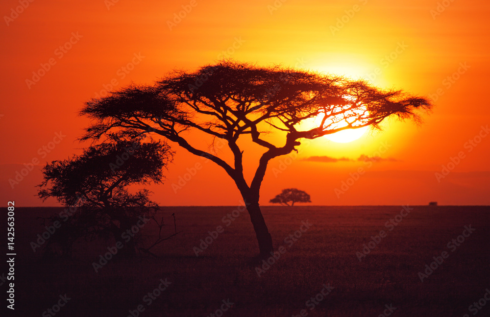 Sunrise over the plains of the Serengeti