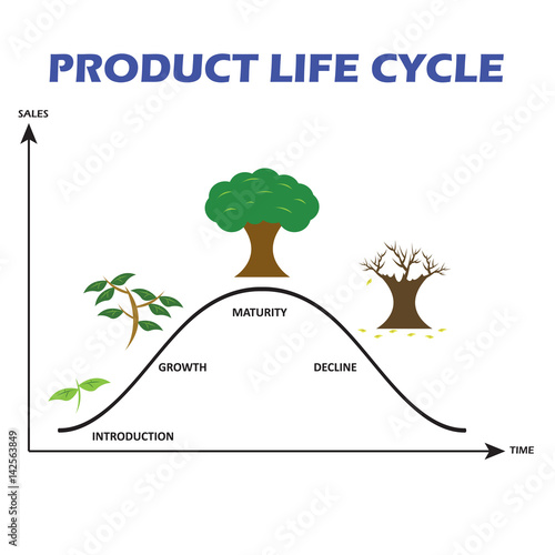 Product Life Cycle on White Background