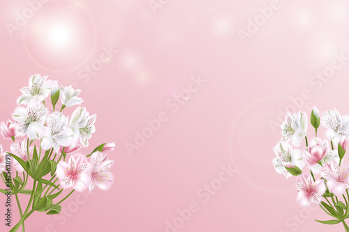 Fototapeta Naklejka Na Ścianę i Meble -  Greeting card with Alstroemeria can be used as invitation card for wedding, birthday and other holiday and summer background. Vector illustration.