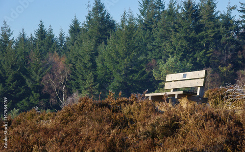 Zilvensche heide veluwe