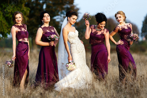 Dazzling bride and bridesmaids in violet dresses stand on dry grass