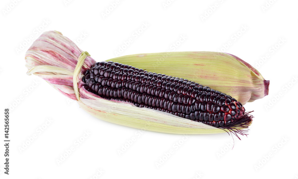 Fototapeta premium uncooked purple corn on white background