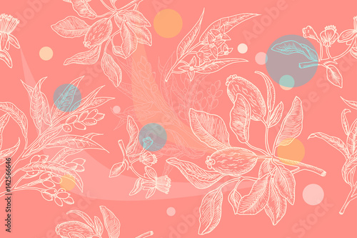 Feijoa on the blackboard in chalk style.Seamless pattern on black background. Feijoa drawn in pencil. Freehand drawing.