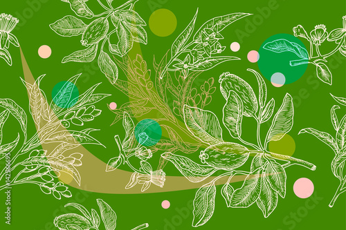 Vector chalkboard . Chalk typographic design. Sketch feijoa vector illustration.