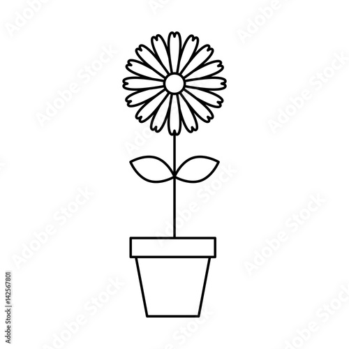 cute garden flower in pot vector illustration design