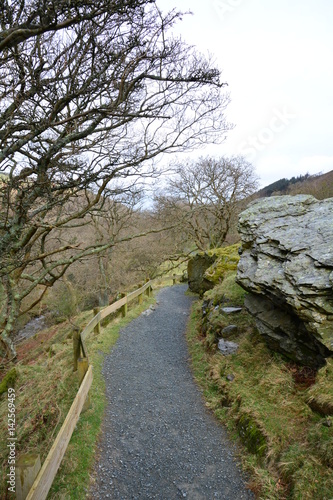 path 1