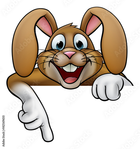Easter Bunny Rabbit Pointing