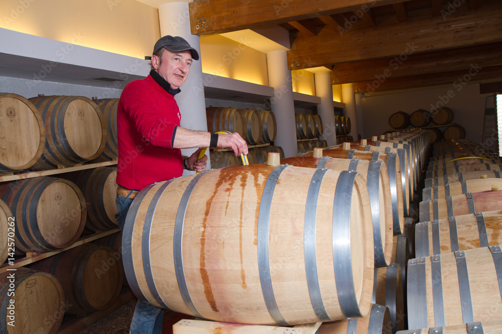 wine cellar for storing aged wine wine cellar for storing aged wine