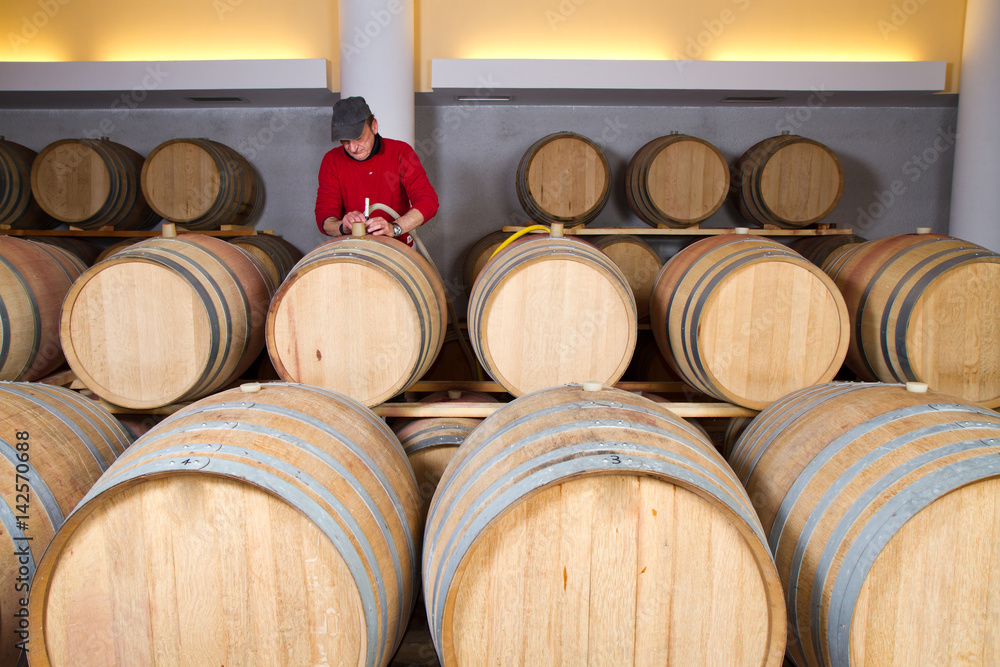 wine cellar for storing aged wine wine cellar for storing aged wine