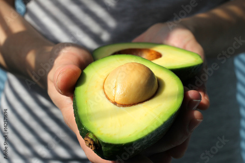 Avocado in the hands