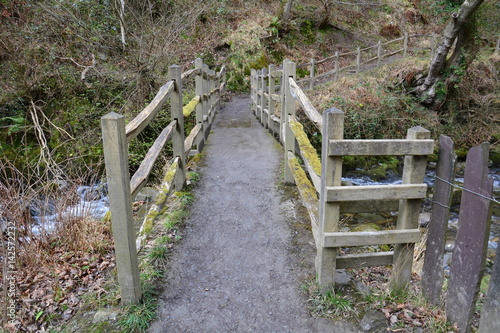 Wooden bridge1
