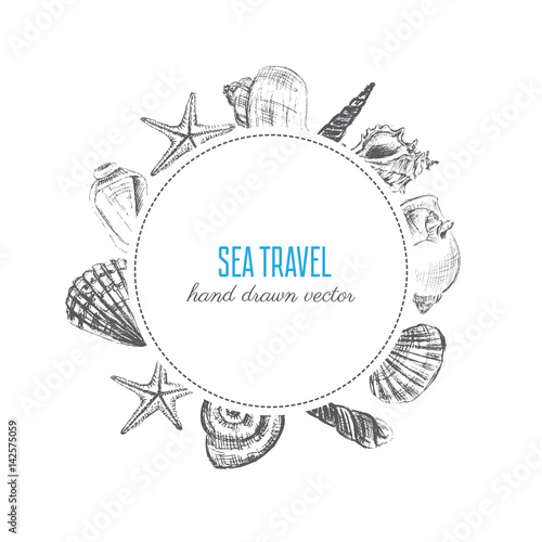 Seashell hand drawn vector etching sketch isolated on white background, decorative round frame, underwater marine texture, template label design for card, beauty salon, natural cosmetic, organic shop