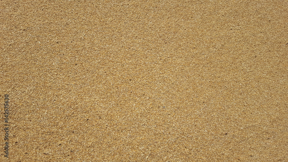 beach sand background texture close up copy space. beach sand background texture close up copy space.