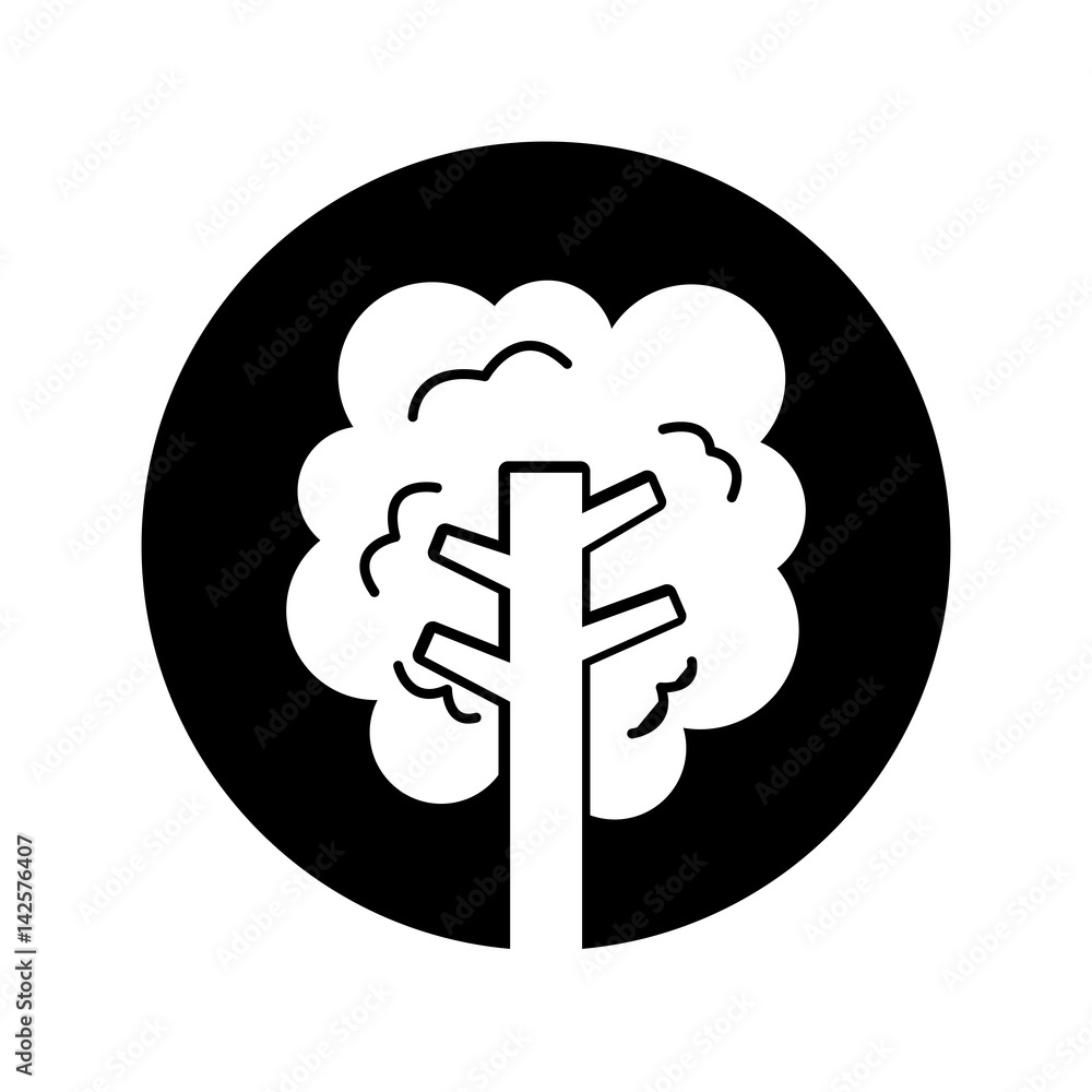 tree plant isolated icon vector illustration design tree plant isolated icon vector illustration design
