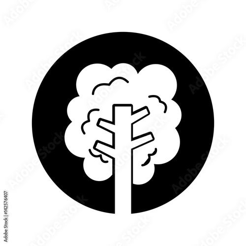 tree plant isolated icon vector illustration design