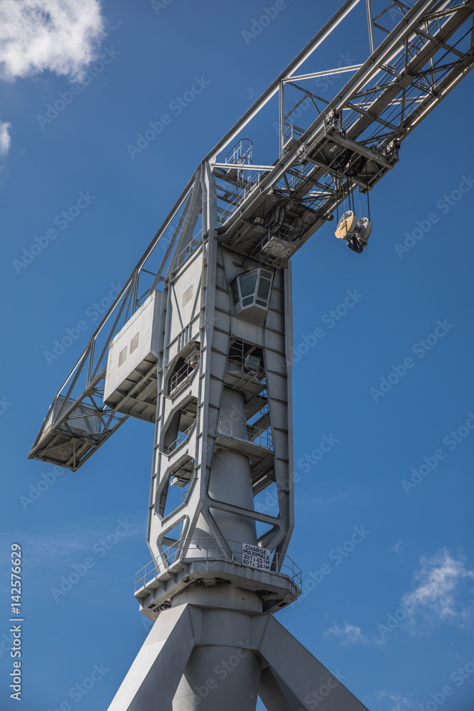 Grue titan grise de Nantes