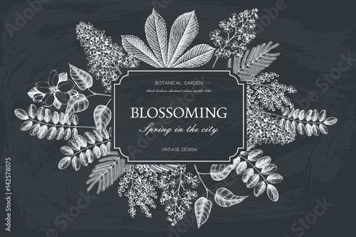 Floral card design on chalkboard. Vector frame with hand drawn blossoming trees.  Wedding invitation template. Vintage spring illustration.