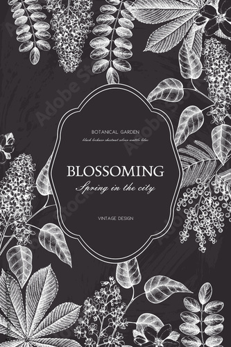 Floral card design on chalkboard. Vector frame with hand drawn blossoming trees.  Wedding invitation template. Vintage spring illustration.