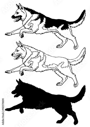 Running dog contour line on white