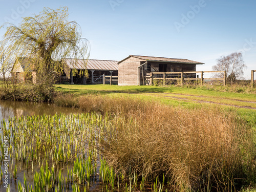 Farm stables and pond. A rural English farmyard scene with wooden horse stables by a natural pond and willow tree enjoying early spring growth.
