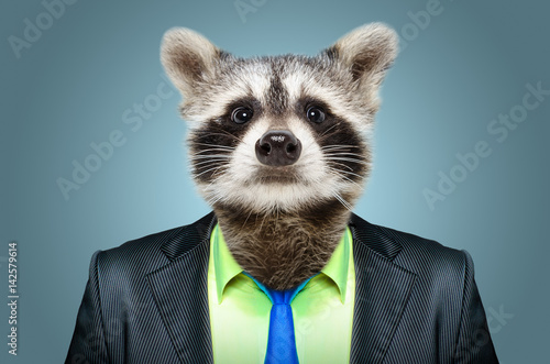 Portrait of a raccoon in a business suit