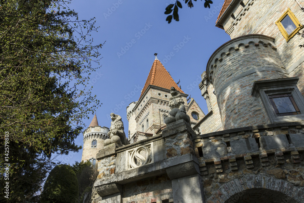 Fototapeta premium Bory castle in Hungary