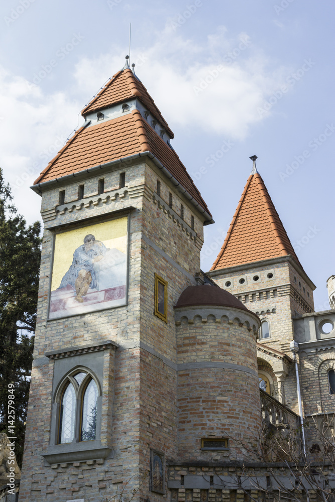 Obraz premium Bory castle in Hungary