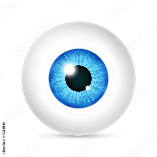 Vector realistic human eyeball
