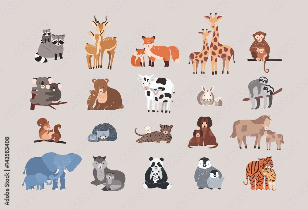 Fototapeta premium cute animals with babies set. raccoon, deer, fox, giraffe, monke
