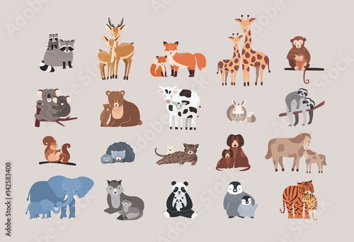 Fototapeta Naklejka Na Ścianę i Meble -  cute animals with babies set. raccoon, deer, fox, giraffe, monke