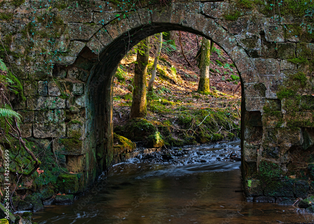 Sunlit woods viewed through the arch of an old stone bridge over a stream.