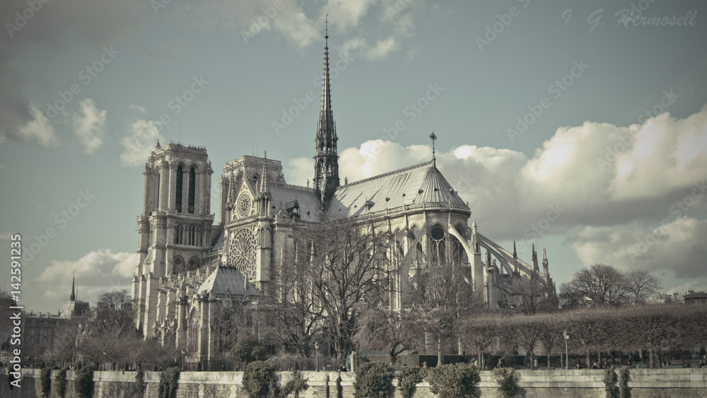 A view of Notre Dame Cathedral