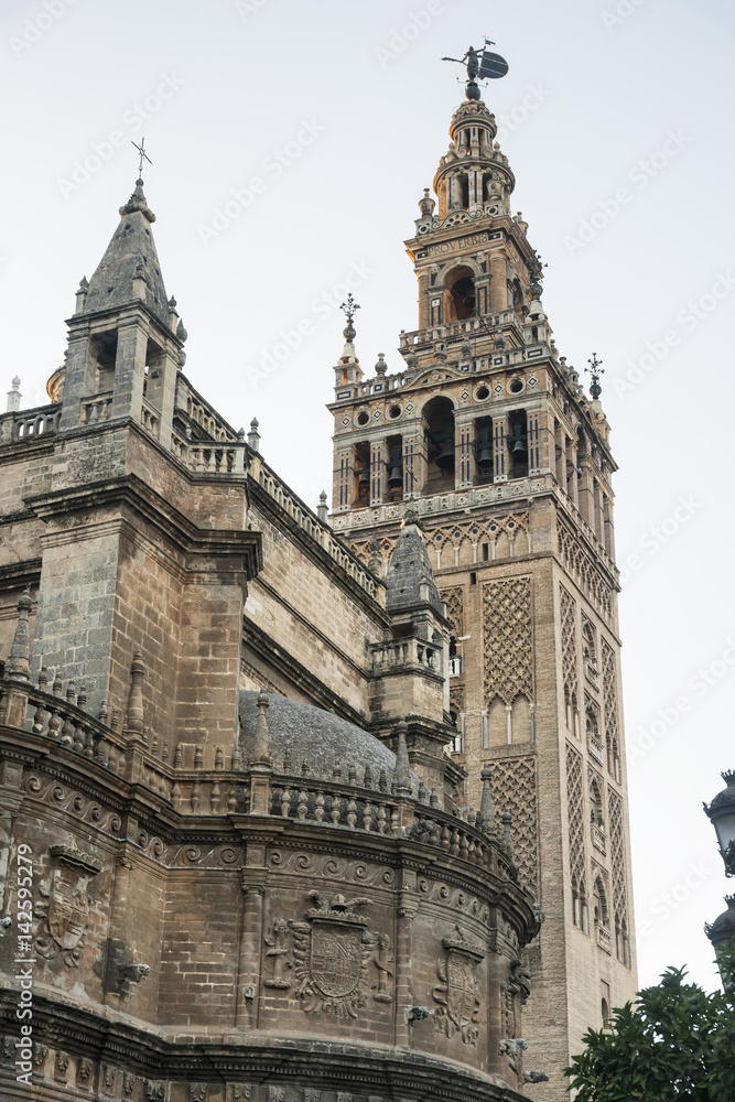 Fototapeta premium Sevilla (Andalucia, Spain): the cathedral
