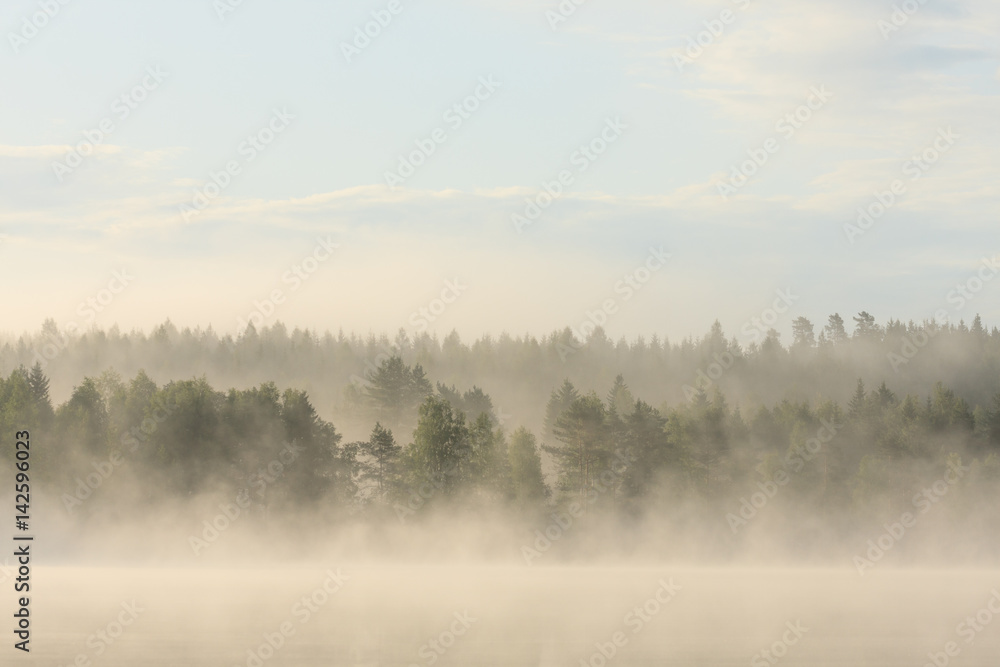 Foggy forest and lake at dawn 