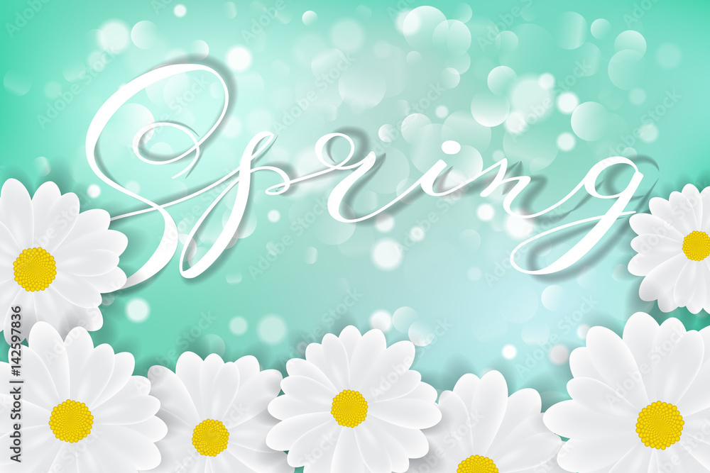 White daisy chamomile flowers on blue sunny sky background with bokeh vector illustration White daisy chamomile flowers on blue sunny sky background with bokeh vector illustration