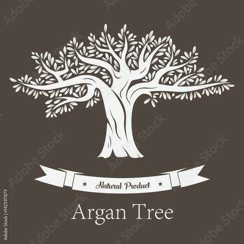 Argan plant or Argania flora fruit tree