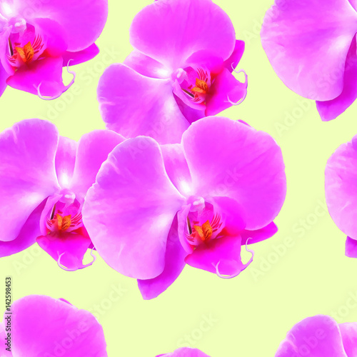 Fototapeta Naklejka Na Ścianę i Meble -  Orchid. Seamless pattern texture of flowers. Floral background, photo collage
