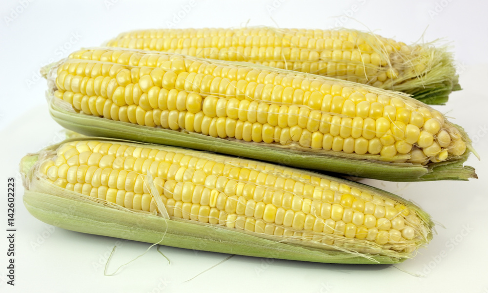 Fresh grocery store yellow corn on white background. Fresh grocery store yellow corn on white background.