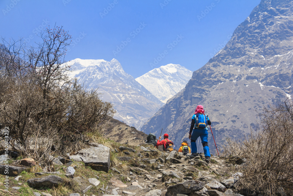 Tourists trekking in Himalaya mountain valley to Annapurna basecamp of Nepal