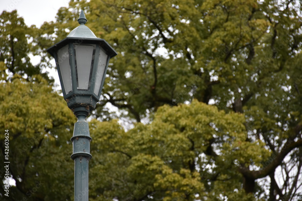 Light pole in park