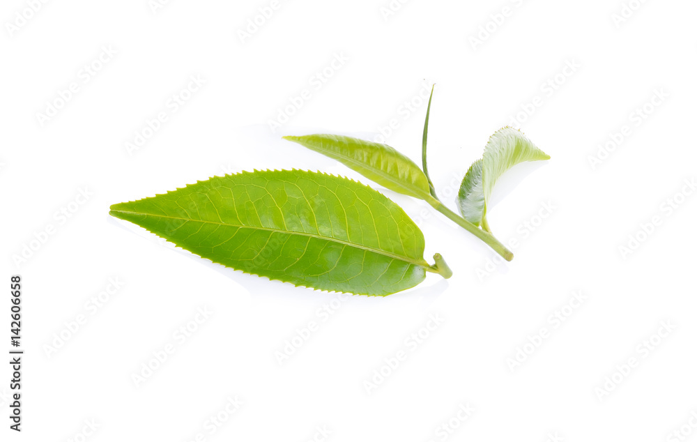 Obraz premium tea leaves on white background