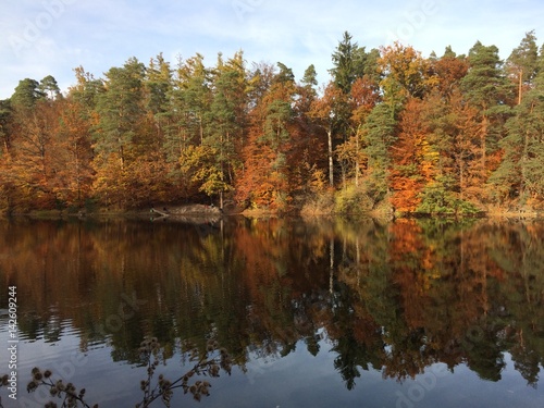 Herbstimpressionen