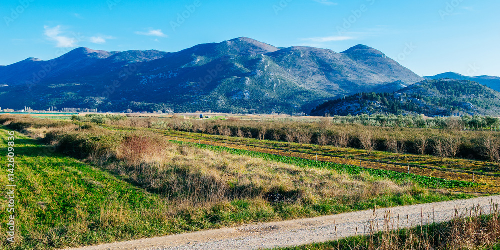 Field of crops and beautiful hills in the background and dirty road in front