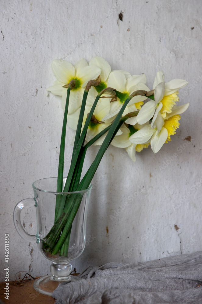 Yellow daffodils. beautiful flowers