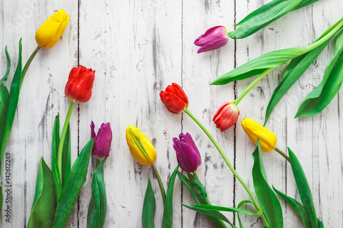 Tulips of different color on wooden background