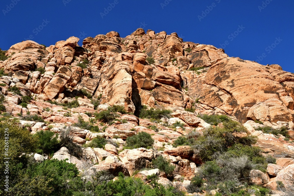 Beauty of Red Rock Canyon